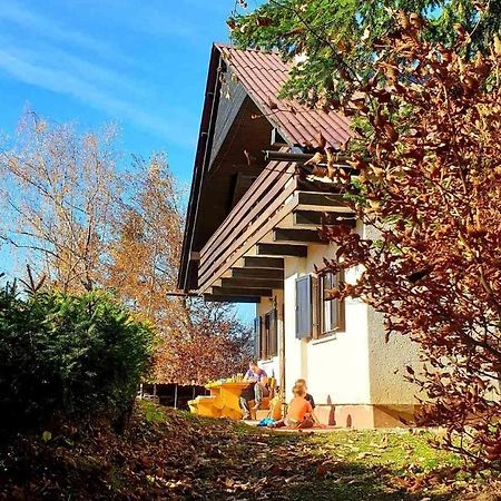 Pet & Family Friendly House Viktorija - House Near Golica With Triglav View Villa Jesenice Luaran gambar