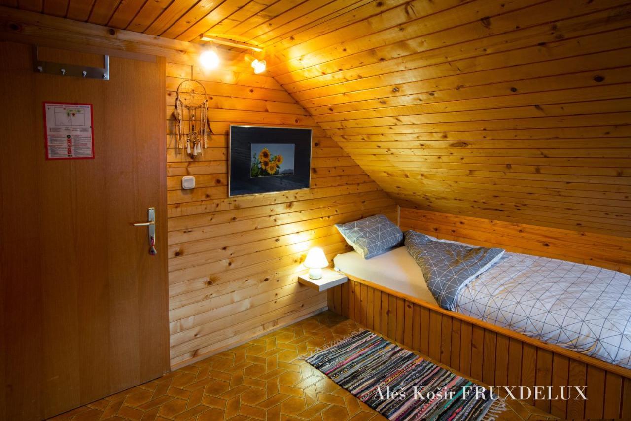 Pet & Family Friendly House Viktorija - House Near Golica With Triglav View Villa Jesenice Luaran gambar