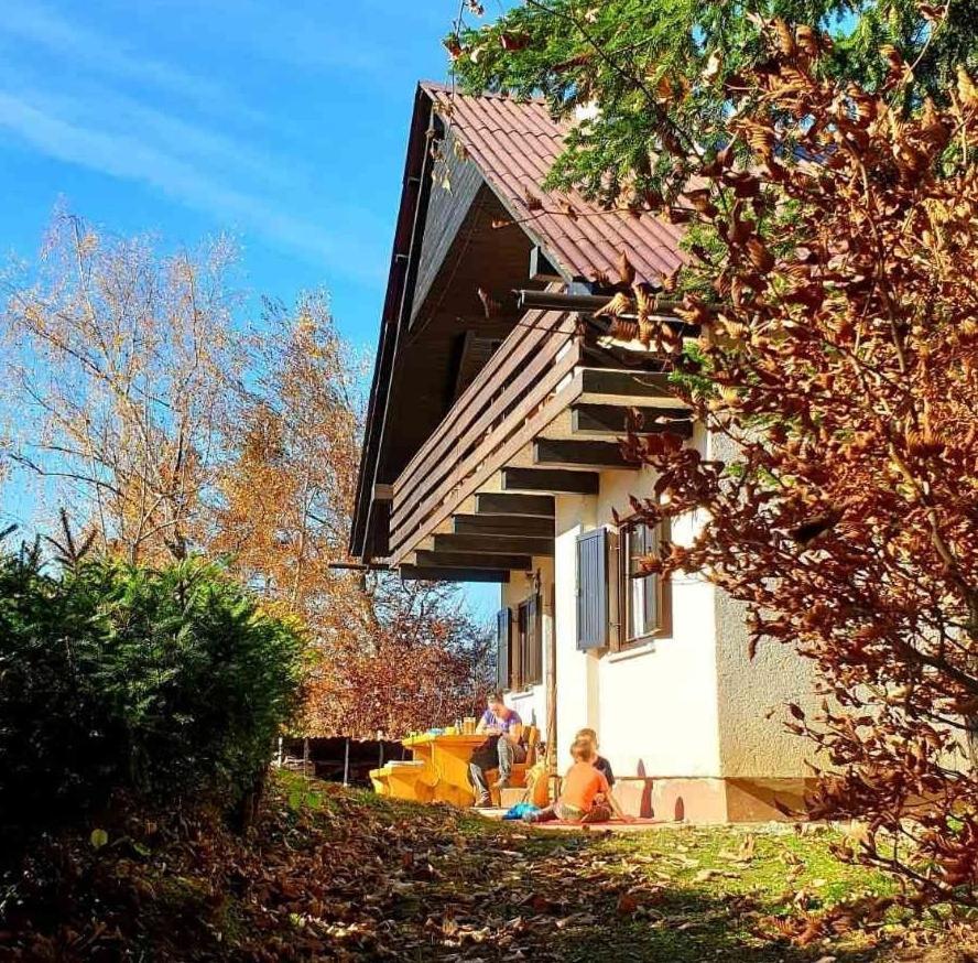 Pet & Family Friendly House Viktorija - House Near Golica With Triglav View Villa Jesenice Luaran gambar