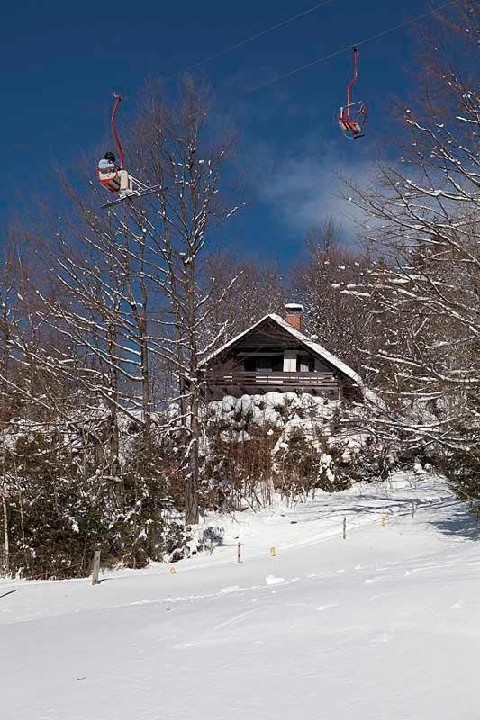 Pet & Family Friendly House Viktorija - House Near Golica With Triglav View Villa Jesenice Luaran gambar
