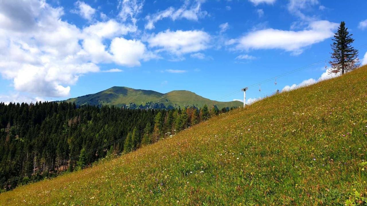 Pet & Family Friendly House Viktorija - House Near Golica With Triglav View Villa Jesenice Luaran gambar