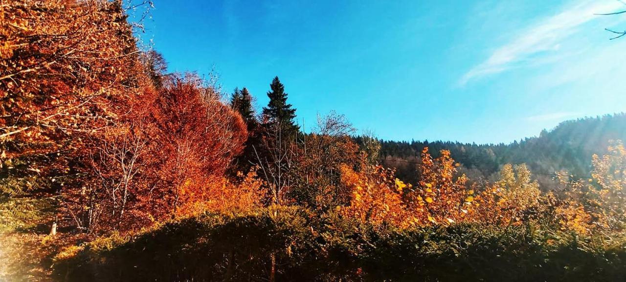 Pet & Family Friendly House Viktorija - House Near Golica With Triglav View Villa Jesenice Luaran gambar