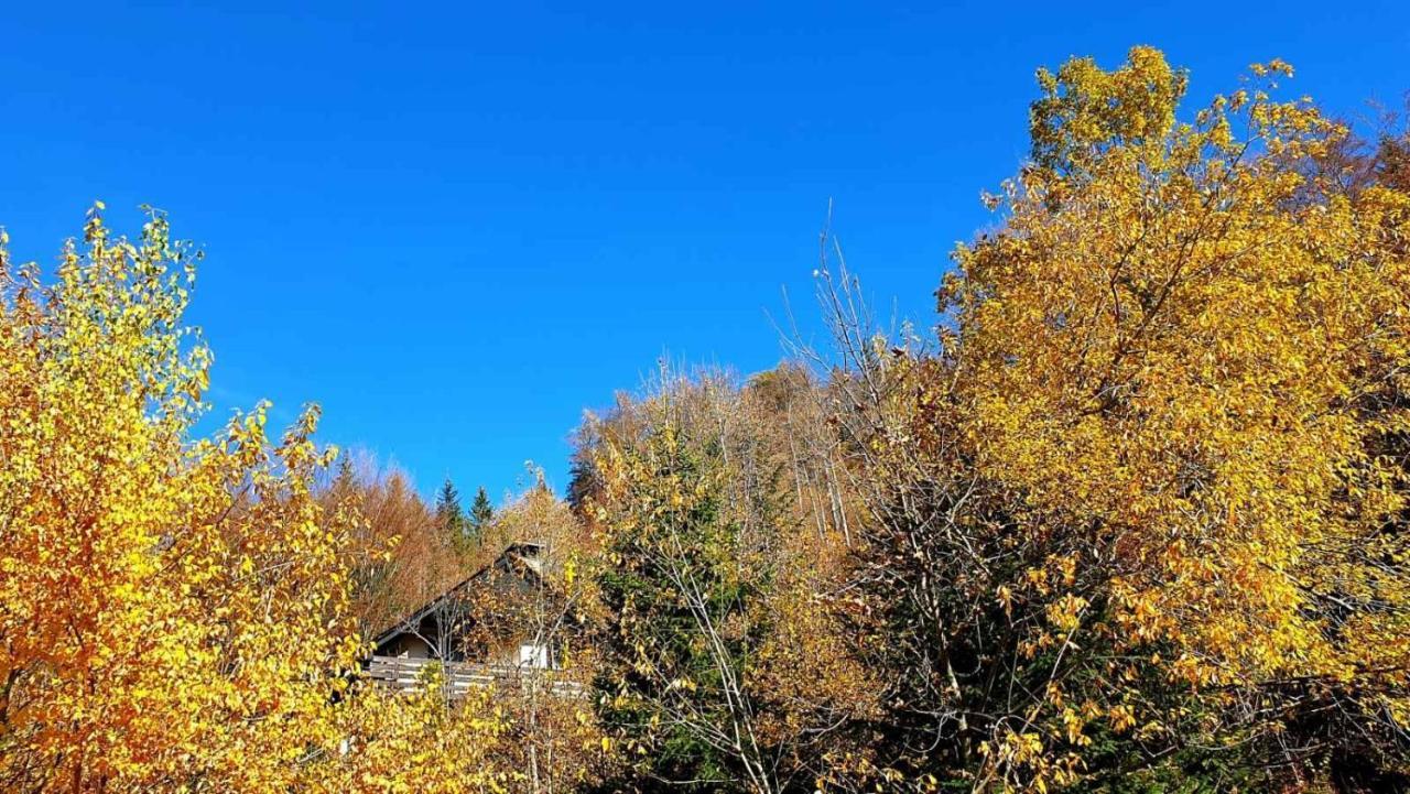 Pet & Family Friendly House Viktorija - House Near Golica With Triglav View Villa Jesenice Luaran gambar